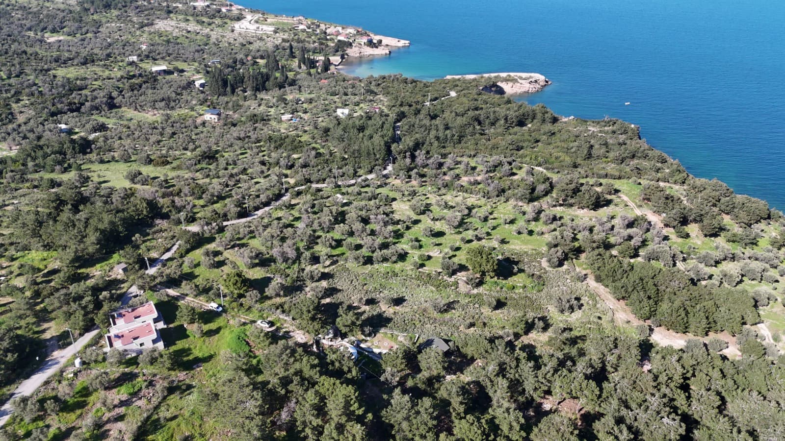 Boyabağ'da Denize 400 Metre 850 m² Tarla küçük görsel 6